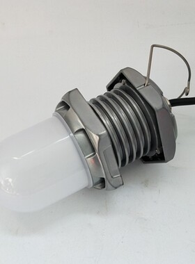 ZL8011 LED行灯 10W FW6325 LED泛光灯 低压安全照明灯 36V检修灯