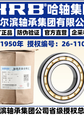 HRB 哈尔滨轴承 N NU NJ NUP 230 232 234 236 E M EM  圆柱滚子