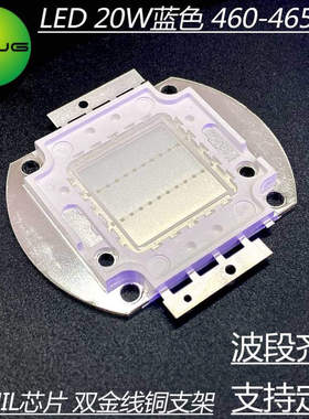 厂家现货 晶元20W大功率蓝光灯珠 460-465nm集成灯芯 led蓝色光源