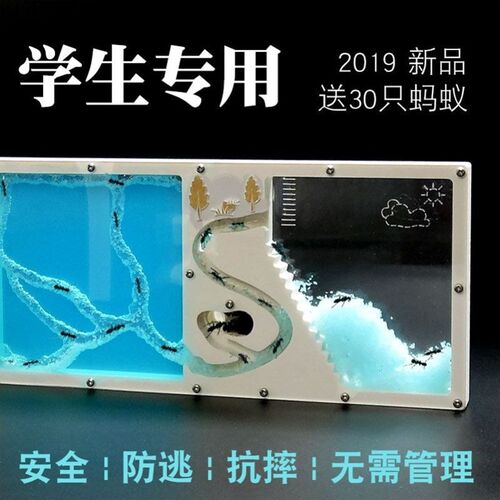 蚂蚁生态箱蚂蚁城堡生态箱蚂蚁宠物饲养盒观察蚂蚁城堡超大型超大