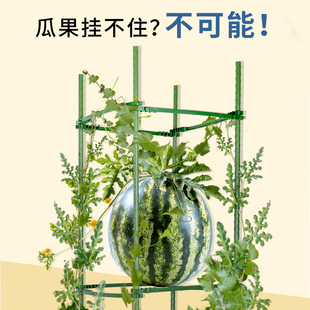 月季爬藤花架庭院蔬菜种植黄瓜西红柿葡萄攀爬架固定支撑杆室户外