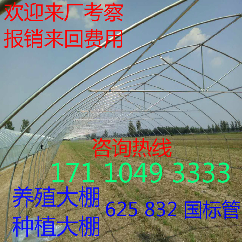 一晨园艺 625/825热镀锌温室大棚骨架热浸锌钢管大棚蔬菜钢架大棚