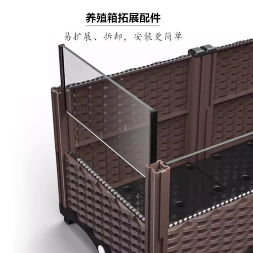 黄缘闭壳龟家庭饲养生态环境套餐 黄缘龟养殖箱 新手黄缘龟套餐