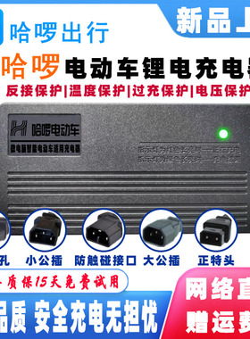哈啰电动车棒途A8L锂电充电器48V12AH24AH54.6V2A3A H16C52H10A80