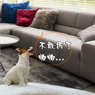 防止宠物狗狗跳上床不让猫上沙发阻止上桌乱拉尿隔离驱赶垫护栏