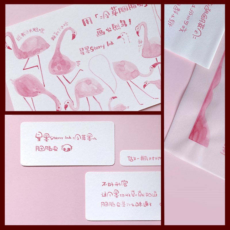 Starry Ink星墨冷萃墨水 胭脂虫纯天然彩墨胭脂虫提取钢笔用