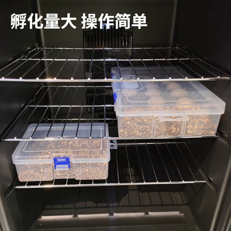 爬宠孵化盒守宫变色龙鬃狮玉米宠物爬虫乌龟蛋蜥蜴孵化器金黄蛭石