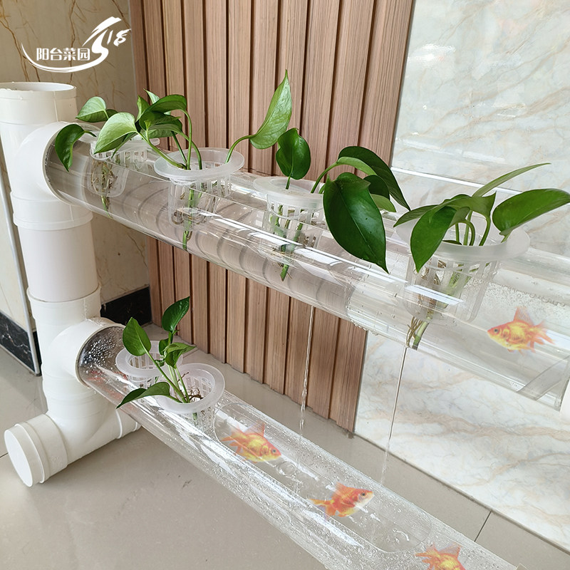 透明管养鱼架子多层立体水培花架幼儿园流水玩具养鱼缸