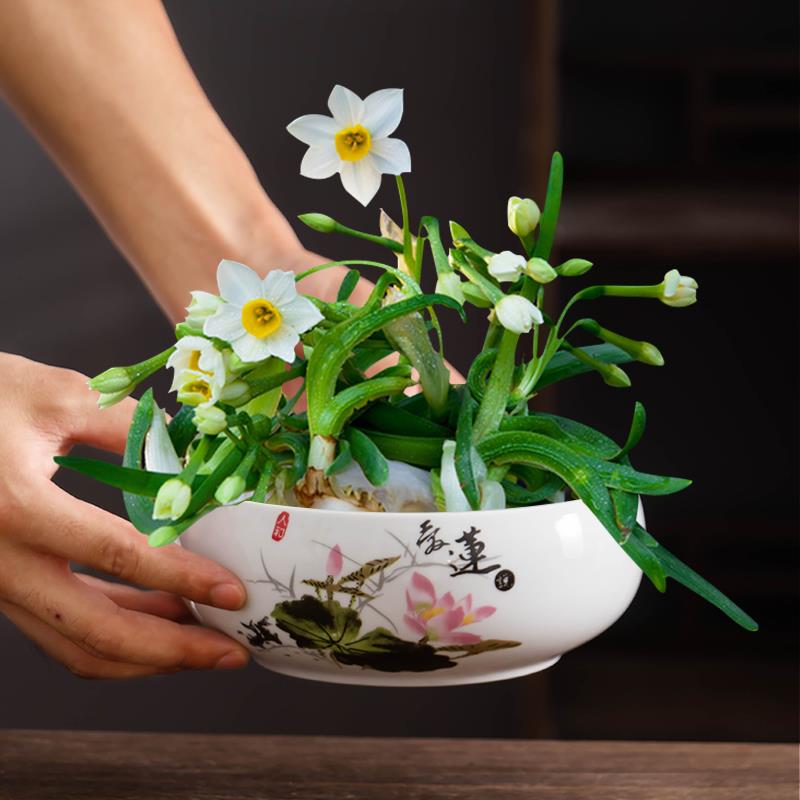 白瓷水仙盆水培专用花盆陶瓷大口径无孔家用阳台带托水养植物器皿