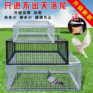 鸽子笼撞门笼只进不出鸟笼天落笼家用户外自动鸽子笼活络门 新款