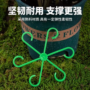 龟背芋专用固定器花枝收拢器防倒伏植物枝干支架园艺春羽固定支架