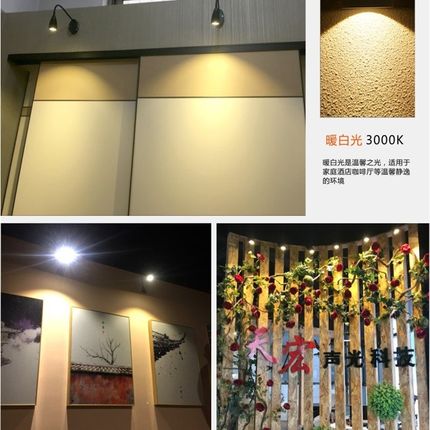 黑色led软管射灯明装吸顶长杆弯管3W5W7W12W招牌logo照画侧装壁灯