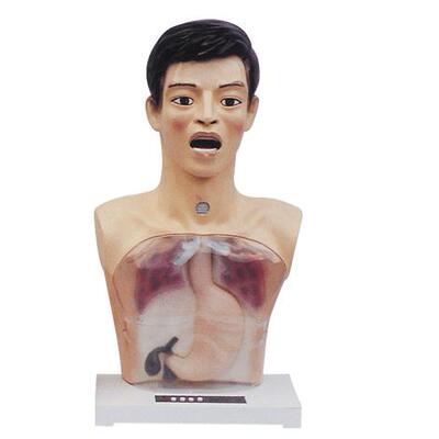 带警示透明洗胃机制模型H7-1