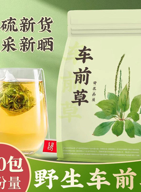 车前草野生中药材正品车前草泡水喝的功效与作用新鲜车前草袋泡茶