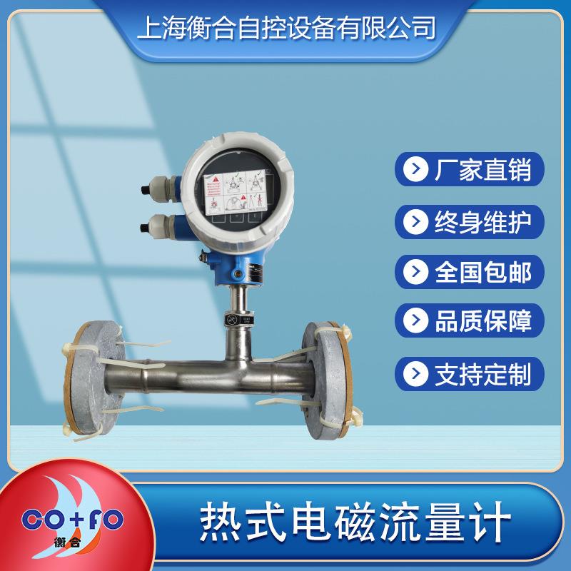 热式智能管道质量流量计气体天然气二氧化碳压缩空气检测仪