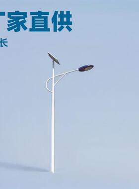 8米6米特色路灯杆民族10米12米单臂灯杆LED路灯生产厂家工程