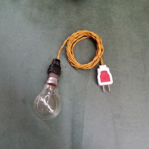 老式钨丝灯泡40W 取暖 动物专用 1.5米长 包邮 养殖业取暖灯