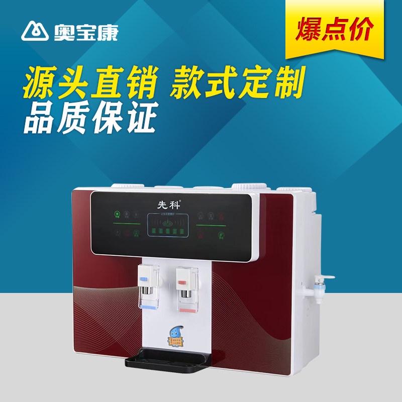 包邮 净水器家用直饮加热一体机RO反渗透冷热厨房壁挂式井水自吸
