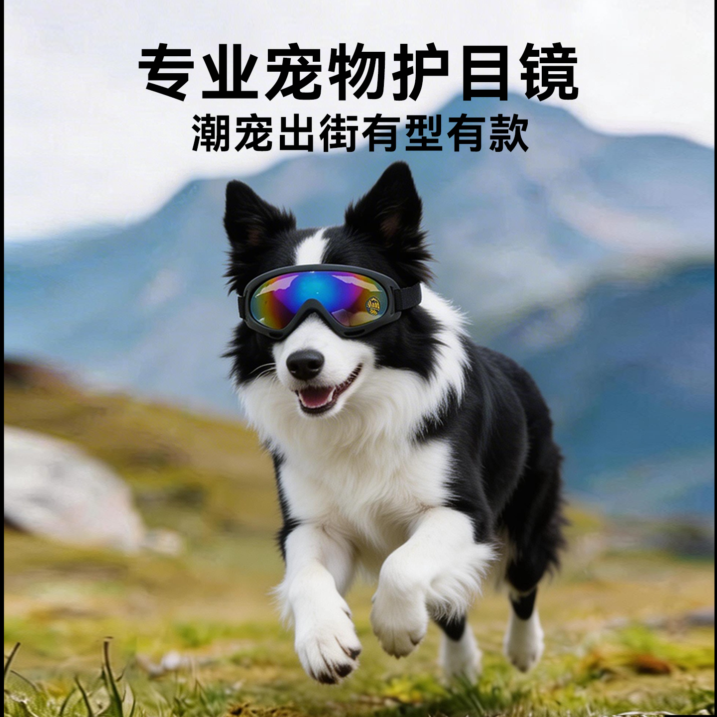 狗狗护目镜边牧金毛小中大型犬户外防风沙紫外线出行墨镜宠物眼镜