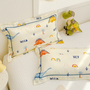 精选60支儿童天丝枕套35x55A类莱赛尔夏季凉感冰丝乳胶枕头套48x7