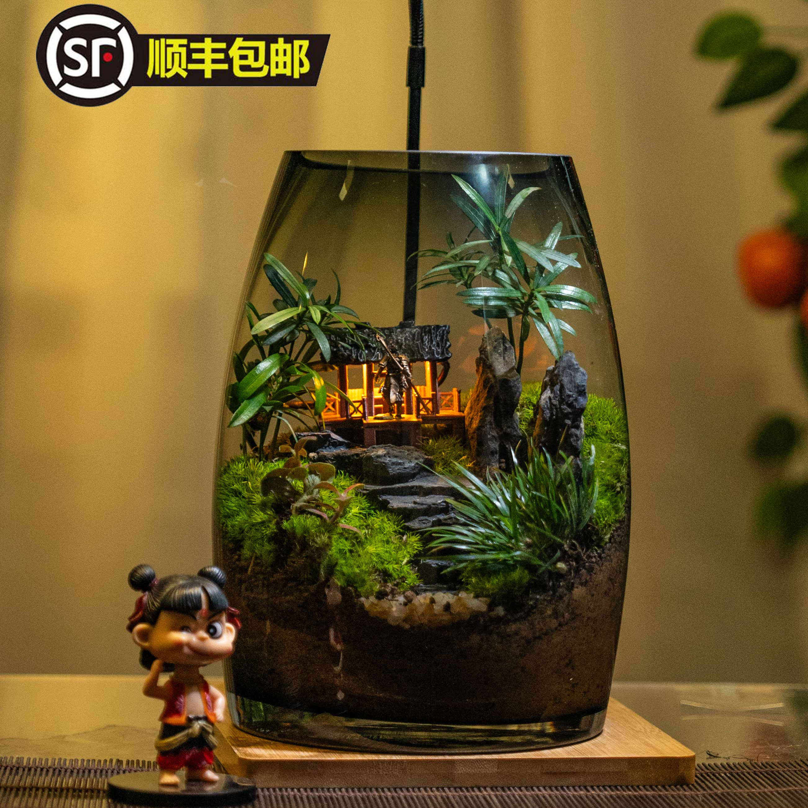 苔藓微景观桌面摆件客厅氛围带灯