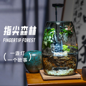 蜀山悬浮岛手工艺术苔藓生态缸家居流水摆件氛围感百搭通用微景观