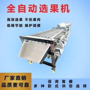 全自动选果机果水果选机李子圣女果金桔樱桃槟榔百香果水果分选机