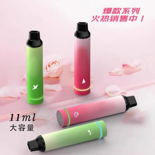 電子霧化器薄荷提神醒腦一體式 戒煙神器潤喉 果味噴霧大霧量吸入式