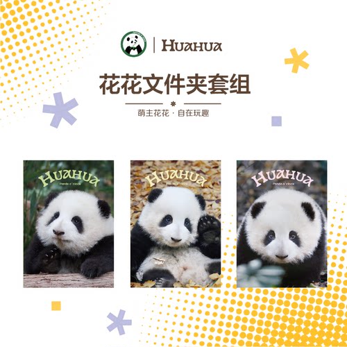 熊猫花花文件夹套组3个装