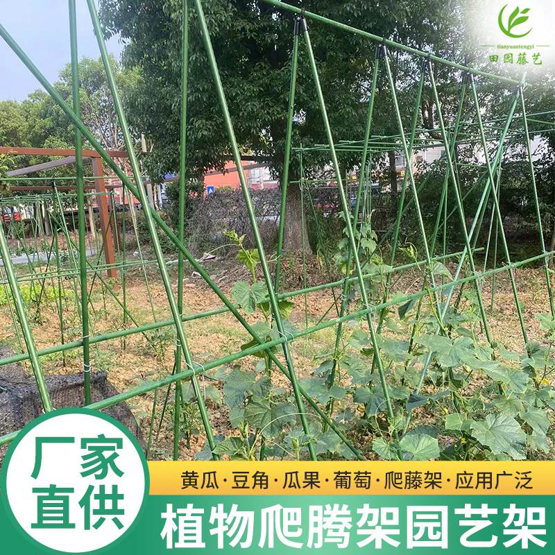 豆角黄瓜爬藤架种菜架子庭院葡萄架包塑钢管植物支架户外攀爬架子