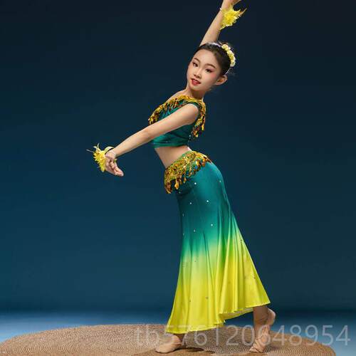 正品儿童族舞蹈演出服表演服出装幼儿傣演服女童孔雀舞鱼裙幼尾儿
