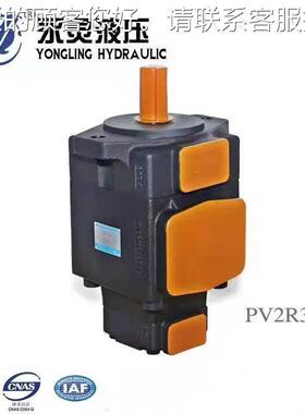 永灵叶片泵PV2R列PV2R1 PVMXL2RR2 PVR3 PV22R11 PV2R21 系PV231/