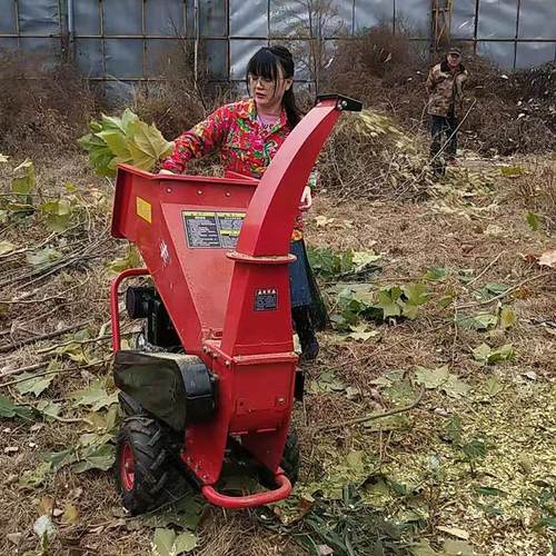 移动式树枝粉碎机小型家用柴油机大马力电启动园林果园木材碎木机