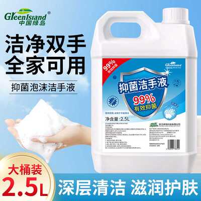绿岛2.L大规格商用抑菌洁手液泡沫洗手温和清洁家庭补充装消毒液