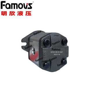 外齿轮泵 GP20 K6F台湾Famovs高压齿轮泵 液压泵增压