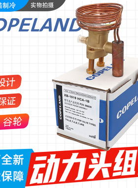 EMERSON艾默生动力头XB-1019HCA/HZ/NW100/SC-1B热力膨胀阀动力头