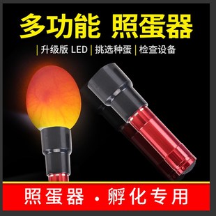 孵化专用照蛋器led冷光鹌鹑蛋受精种蛋手电筒照蛋神器LED蛋种检查