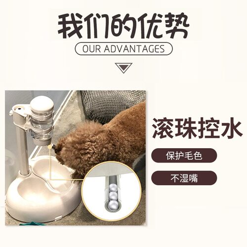 狗狗喝水器不湿嘴挂式比熊水壶不插电猫咪自动饮水机喂水宠物用品