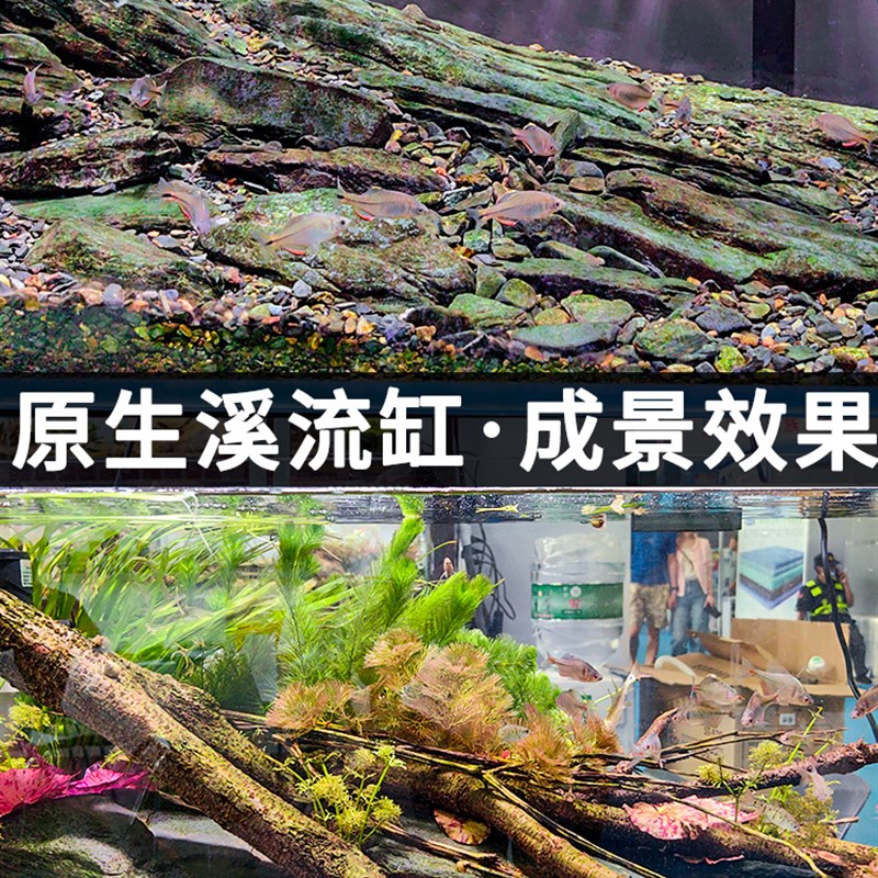 原生缸精品溪流片石乌龟晒背晒台片岩造景台鱼缸爬宠假山组合石片