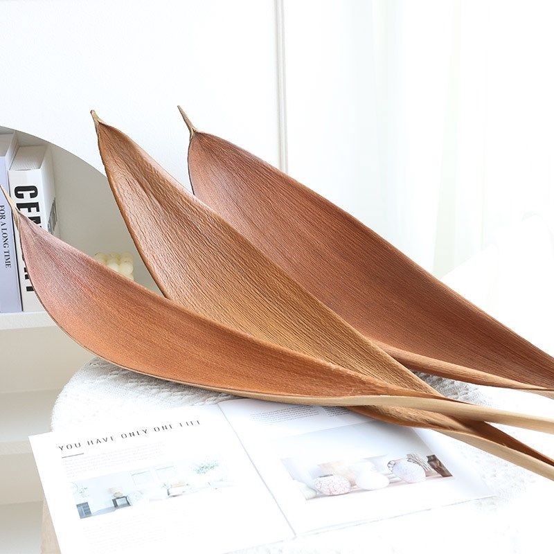 大号叶天然叶子托盘桌面巴西干民宿样板房饰品,家居饰品,干花/花瓣/干花包/干树枝,淘宝优惠券,粉丝福利购,淘宝优惠卷