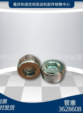 k19 k38发电机组配件 Nt855 发动机零件 管塞3628608