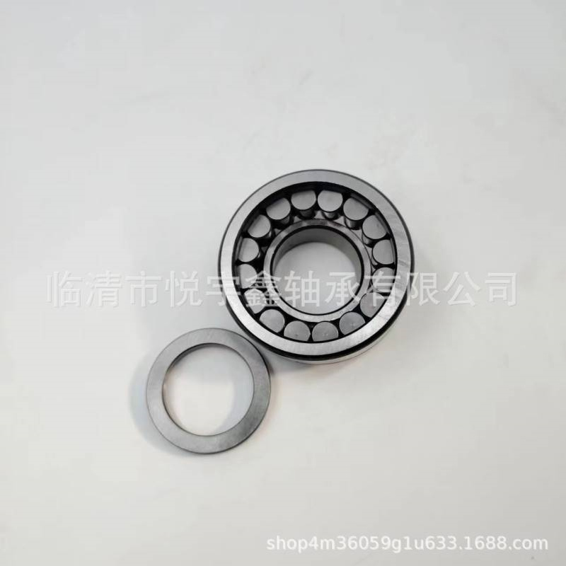 SL045016PP SL045017PP SL045018PP SL045019PP 装满圆柱滚子轴承