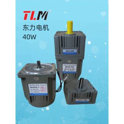 东力TLM调速刹车40W电机M540-402定速马达5IK40GN-C/S3BM配减速箱