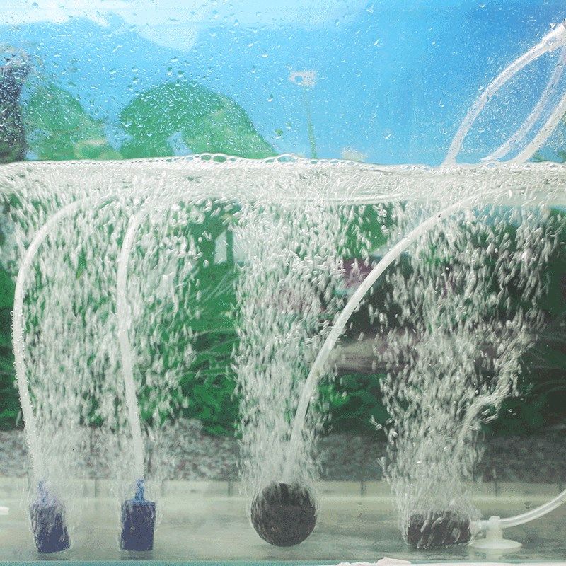 松宝增氧泵鱼缸小型家用静音氧气泵静音大功率水族箱制加增充氧泵,宠物/宠物食品及用品,冲氧泵,淘宝优惠券,粉丝福利购,淘宝优惠卷