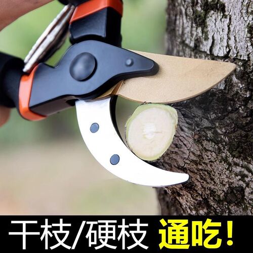 精工园艺剪刀剪树枝省力剪刀修枝剪果树剪花园林园艺剪子粗枝剪刀