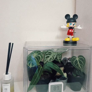 [植物闷养箱热带植物保温箱家庭小温室暖棚阳台花房育苗箱保湿防雨]