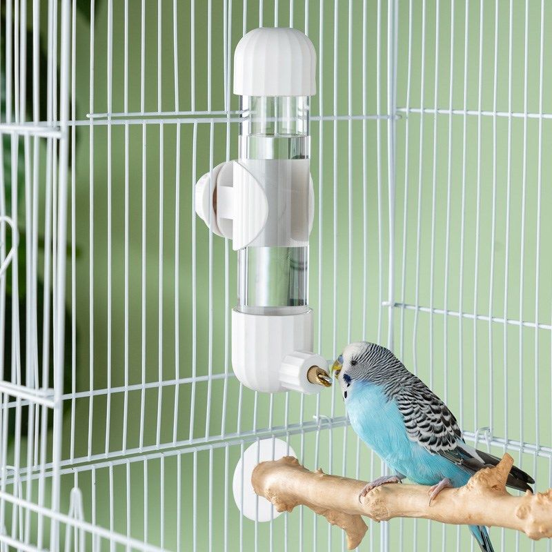 鹦鹉撞针水壶大容量自动饮水器玄凤牡丹虎皮鸟专用喂水器透明防漏,宠物/宠物食品及用品,鸟禽喂食器/喂水器,淘宝优惠券,粉丝福利购,淘宝优惠卷