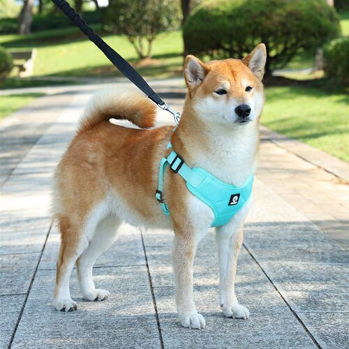 背心式狗狗牵引绳中大型犬柴犬柯基可调节宠物胸背带狗链子遛狗绳