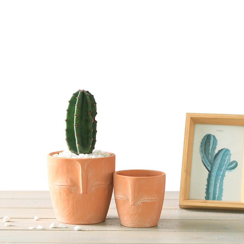 人像艺术红陶人头造型花盆北欧素烧陶土素烧瓷器多肉小盆栽种绿植