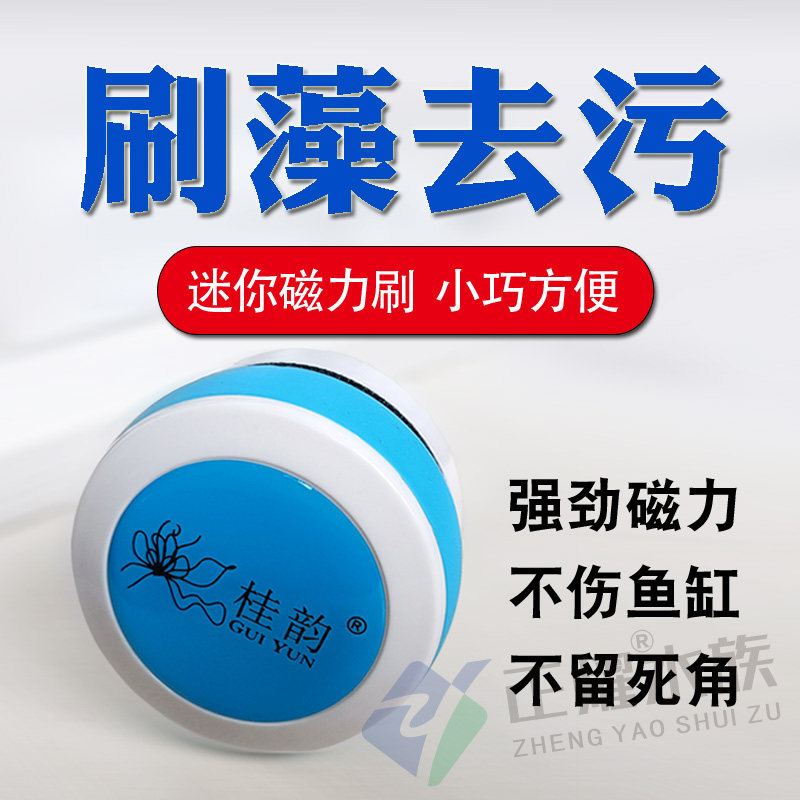 鱼缸刷迷你磁力刷强磁无死角双面擦鱼缸神器内壁玻璃清洁除藻工具